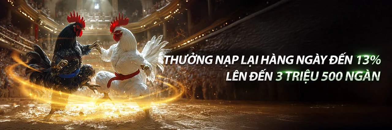 Đá gà trực tiếp Thomo hôm nay với bình luận viên
